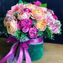 Blumenbox 'Velvet box'