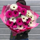 Ramo 'Premonition of love'