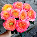 Bouquet of exotic roses