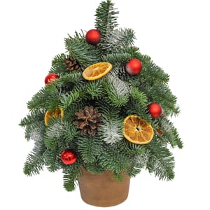 Arrangement 'Christmas tree'