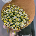 Blumenstrauß 'Camomile field'