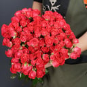 Blumenstrauß '21 shrub roses Cherie Cheops'