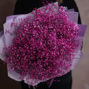 Bouquet of 11 pink gypsophila