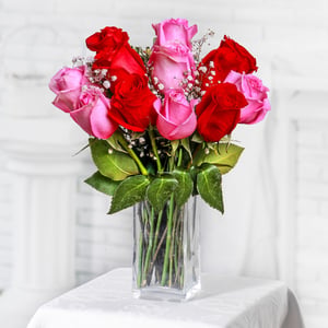 Ein Strauß aus 11 roten und rosa Rosen
