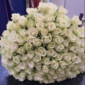 Bouquet of 101 Roses