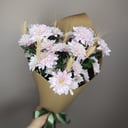 Ramo 'Noche Tranquila'