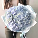 Bouquet of pale blue hydrangea Ennis