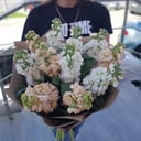 Blumenstrauß 'Fragrant matiolla'