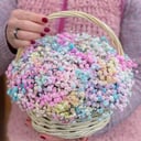 Flower basket 'Rainbow in a basket'