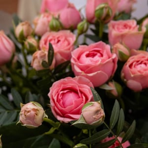 Bouquet '11 spray roses in arrangement'