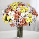 Bouquet 'Two Dozen Daisy Poms'