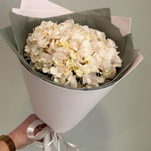 Bouquet of White Hydrangea
