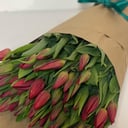 Blumenstrauß '51 rote Tulpe'