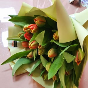 Bouquet 'Red tulips'