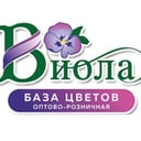 Baza cvetov <<Viola>>