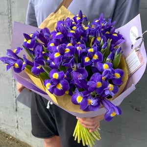Blumenstrauß Ultraviolett
