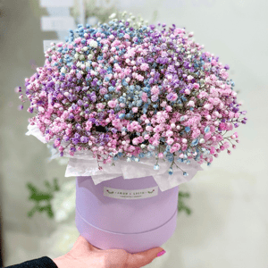 Gypsophila Mix