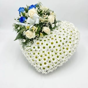 Heartbeat of Daisies