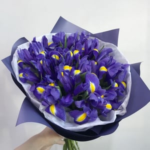 Blue irises