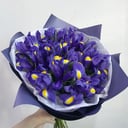 Bouquet 'Blue irises'