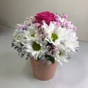 Blumenbox 'Rose in einer Chrysantheme'