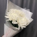 Bouquet of five white chrysanthemums