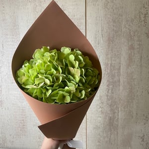Blumenstrauß 'Hortensie grün'