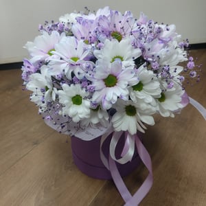 Blumenbox 'Composition "Chamomile" lilac'