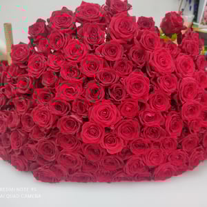 Bouquet '101 roses'