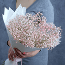 Bouquet of gypsophila "Tender"