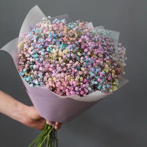 Ramo 'Bouquet of rainbow gypsophila'