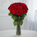 24 luxury tall red roses
