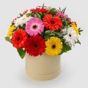 Blumenstrauß in einer Schachtel "Song of the Stars" (mini)