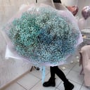 Bouquet of blue gypsophila