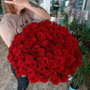 Blumenstrauß '101 Rose'