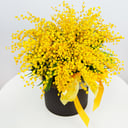 Hat box with flowers 'Mimosa Hatbox'