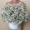 Caja de flores 'Gypsophila en una caja'
