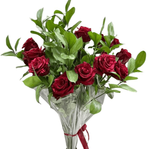 11 Red Roses Bouquet in Transparent Umbr