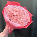 Bouquet 'Pink dianthus'