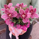 Hat box with orchid 1