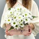 Blumenbox 'Wunder der Kamille'