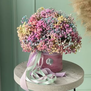 Flower box 'Rainbow Gypsophila'