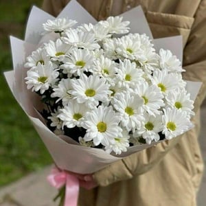 Bouquet of camomile chrysanthemum