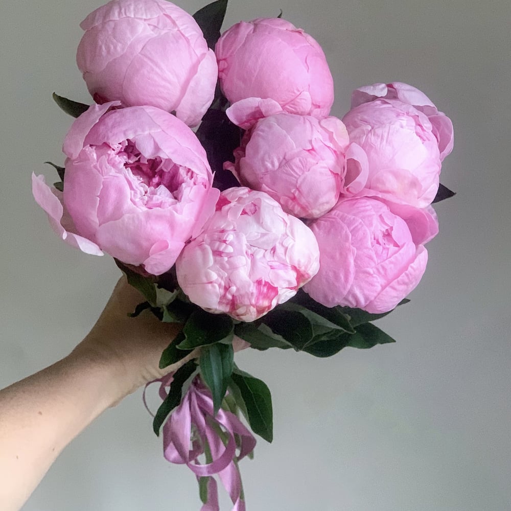 Blumenstrauß '7 pink peonies Sarah Bernhardt'