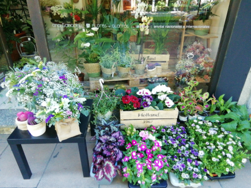 Floristería Ana Sabadell