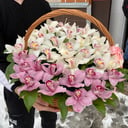 Cesta de flores 'Hermosas orquideas'