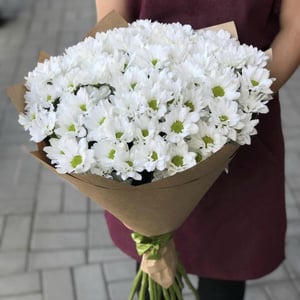 Bouquet of 7 chrysanthemums