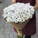 Bouquet of 7 chrysanthemums