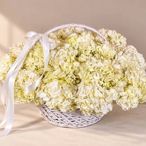 Blumenkorb 'Korb mit 21 Hortensien'