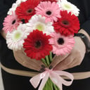 Ramo 'Bouquet of gerberas'